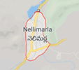 Jobs in Nellimarla