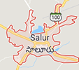 Jobs in Salur