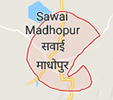 Jobs in Sawaimadhopur